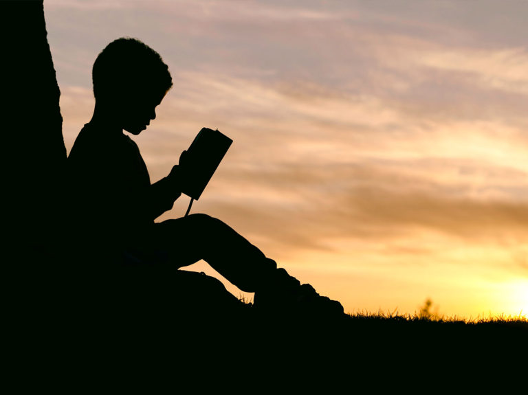 Boy reading a book under a tree
