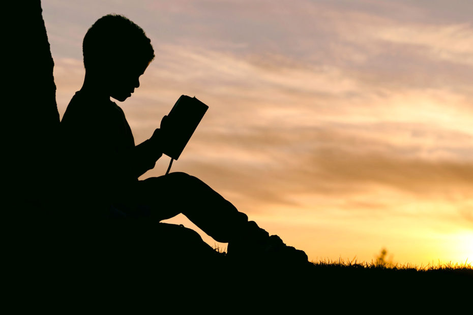 Boy reading a book under a tree
